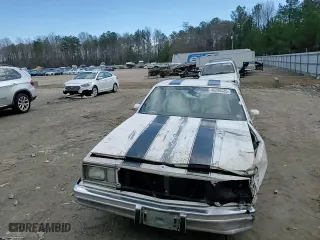 1981 Chevrolet El Camino with VIN 1GCCW80JXBD431816, listed as a Copart auction lot 46290535 with 22,666 mi miles and Salvage Title. Bid and sale history available at carsss.com. Image 11.