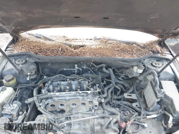 2010 Toyota Camry with VIN 4T1BF3EK3AU109237, listed as a IAAI auction lot 42209056 with 176,936 mi miles and . Bid and sale history available at DreamBid. Image 10.