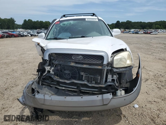 2003 Hyundai Santa Fe GLS with VIN KM8SC13D43U432684, listed as a Copart auction lot 65950054 with 0 mi miles and Salvage Title. Bid and sale history available at carsss.com. Image 5.