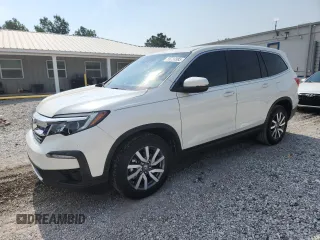 2019 Honda Pilot EX-L with VIN 5FNYF5H50KB031896, listed as a Copart auction lot 59724985 with 79,714 mi miles and Salvage title. Bid and sale history available at DreamBid. Image 1.