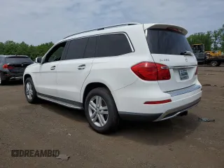2014 Mercedes-Benz GL 450 with VIN 4JGDF7CE1EA323471, listed as a Copart auction lot 60475615 with 178,524 mi miles and Salvage title. Bid and sale history available at DreamBid. Image 2.