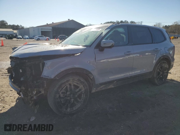 2024 Kia Telluride SX Prestige X-Line with VIN 5XYP5DGC9RG455959, listed as a Copart auction lot 48055685 with 20,199 mi miles and Salvage Title. Bid and sale history available at DreamBid. Image 1.