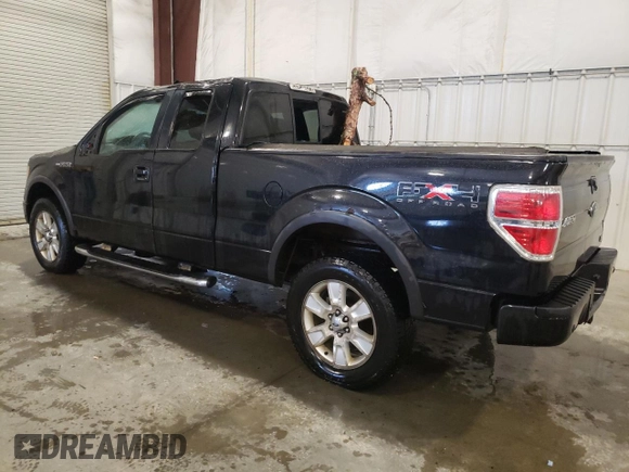 2010 Ford F-150 XL with VIN 1FTFX1EV6AFB06967, listed as a Copart auction lot 62223835 with 165,585 mi miles and Salvage title. Bid and sale history available at DreamBid. Image 2.