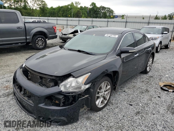 2010 Nissan Maxima SV with VIN 1N4AA5AP1AC863518, listed as a Copart auction lot 56188795 with 115,377 mi miles and Salvage title. Bid and sale history available at DreamBid. Image 1.