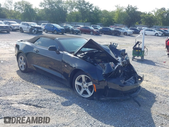 2019 Chevrolet Camaro 1LT with VIN 1G1FB3DS6K0134539, listed as a IAAI auction lot 42646844 with 55,275 mi miles and . Bid and sale history available at DreamBid. Image 1.