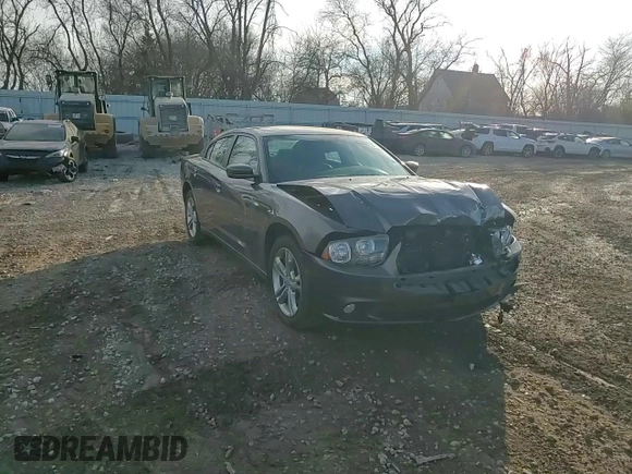 2014 Dodge Charger SXT Plus with VIN 2C3CDXJG6EH351461, listed as a Copart auction lot 43133715 with 166,234 mi miles and Non Repairable. Bid and sale history available at carsss.com. Image 13.