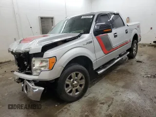 2011 Ford F-150 XL with VIN 1FTEW1CM4BKE06993, listed as a Copart auction lot 56302655 with 222,336 mi miles and Salvage title. Bid and sale history available at DreamBid. Image 1.