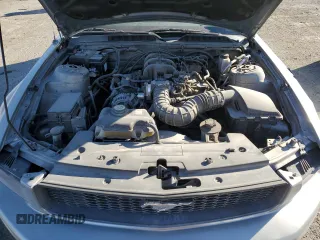 2009 Ford Mustang with VIN 1ZVHT80NX95113598, listed as a Copart auction lot 47895915 with 103,141 mi miles and Salvage Title. Bid and sale history available at carsss.com. Image 13.