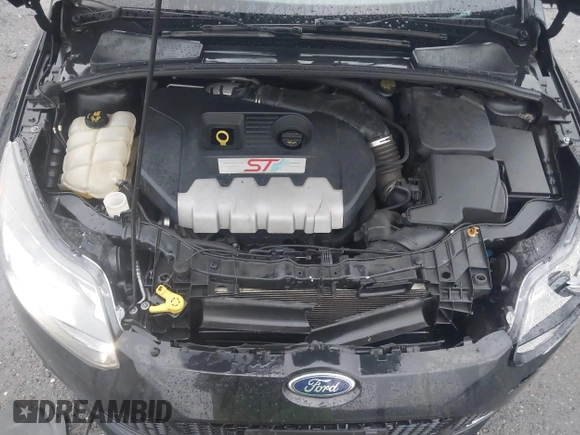 2014 Ford Focus ST with VIN 1FADP3L94EL180667, listed as a IAAI auction lot 41718746 with 141,574 mi miles and . Bid and sale history available at carsss.com. Image 10.