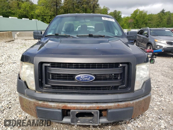 2013 Ford F-150 XL with VIN 1FTMF1CM7DFD51544, listed as a Copart auction lot 58138115 with 284,893 mi miles and Clean title. Bid and sale history available at DreamBid. Image 5.