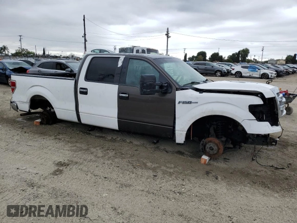 2006 Ford F-150 XLT with VIN 1FTRW12W56FA99773, listed as a Copart auction lot 55776155 with Not Provided miles and Salvage Title. Bid and sale history available at DreamBid. Image 4.
