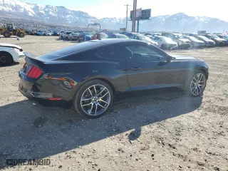 2015 Ford Mustang GT with VIN 1FA6P8CF1F5371495, listed as a Copart auction lot 48202745 with 49,440 mi miles and Salvage Title. Bid and sale history available at carsss.com. Image 3.