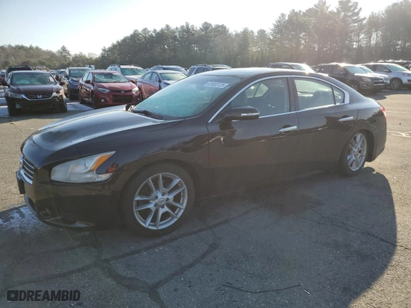 2010 Nissan Maxima 3.5 SV w/Sport Pkg with VIN 1N4AA5AP7AC830927, listed as a Copart auction lot 41655125 with 122,153 mi miles and Salvage Title. Bid and sale history available at carsss.com. Image 1.