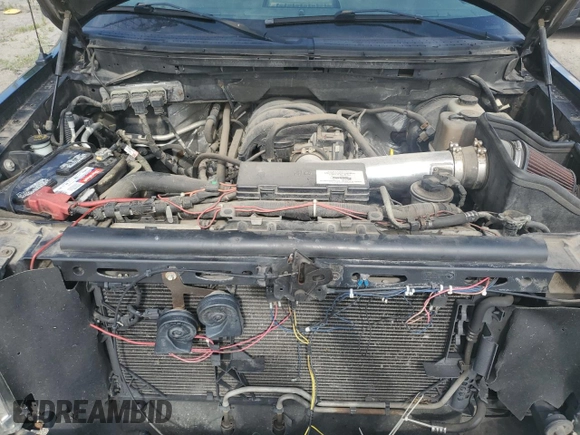 2010 Ford F-150 XL with VIN 1FTEX1C86AFD96491, listed as a Copart auction lot 62287115 with 283,496 mi miles and Clean title. Bid and sale history available at DreamBid. Image 11.