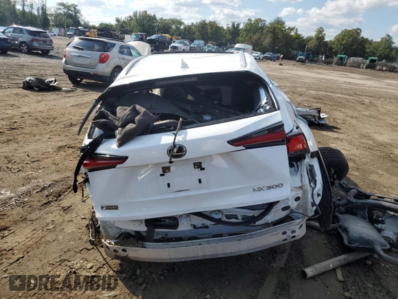 2020 Lexus NX with VIN JTJSARDZ5L5006917, listed as a Copart auction lot 47065935 with 0 mi miles and Non Repairable. Bid and sale history available at carsss.com. Image 6.