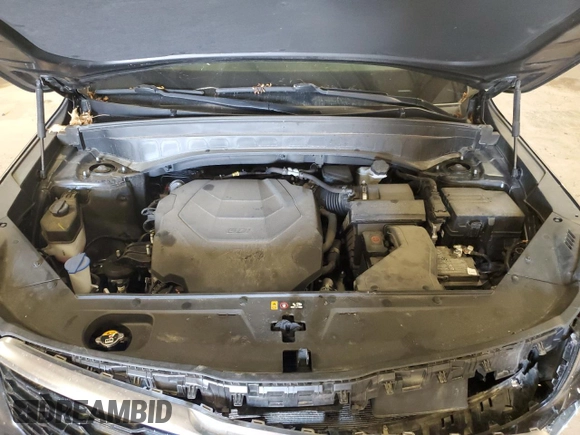2022 Kia Telluride EX with VIN 5XYP34HC4NG239743, listed as a Copart auction lot 56178205 with Not provided miles and Salvage title. Bid and sale history available at DreamBid. Image 12.