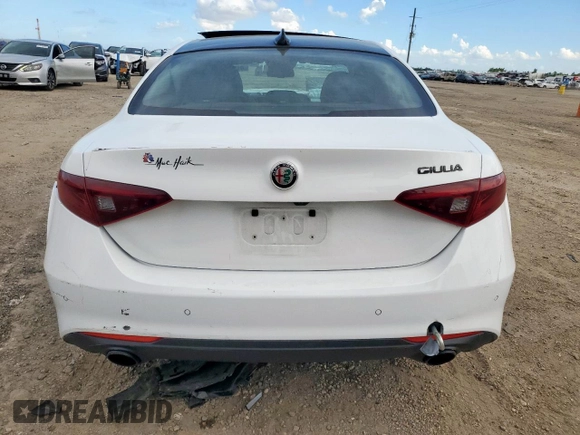 2019 Alfa Romeo Giulia with VIN ZARFAMAN6K7619968, listed as a Copart auction lot 61815425 with 30,055 mi miles and Salvage title. Bid and sale history available at DreamBid. Image 6.