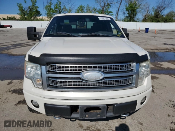 2009 Ford F-150 XL with VIN 1FTPW14V19FB17234, listed as a Copart auction lot 53957085 with 0 mi miles and Salvage Title. Bid and sale history available at carsss.com. Image 5.