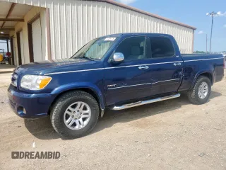 2005 Toyota Tundra SR5 with VIN 5TBET34105S489899, listed as a Copart auction lot 61359775 with 183,503 mi miles and Salvage title. Bid and sale history available at DreamBid. Image 1.