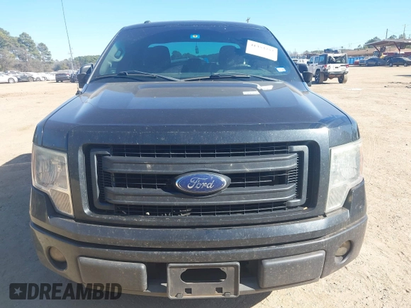 2014 Ford F-150 XL with VIN 1FTEX1CM1EKG04187, listed as a IAAI auction lot 41353752 with 174,111 mi miles and . Bid and sale history available at DreamBid. Image 12.