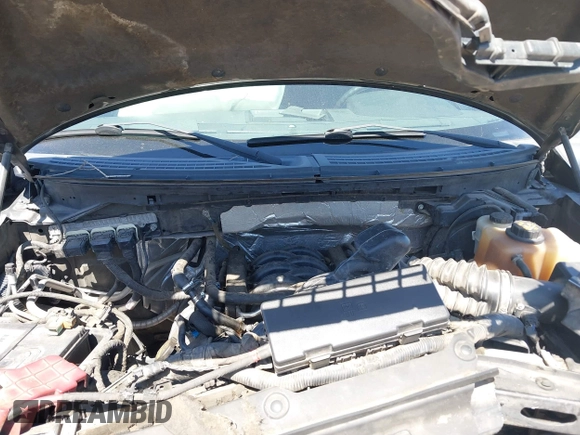 2013 Ford F-150 XL с VIN 1FTFW1EF2DKE93539, выставлен на аукционе IAAI как лот 42099079 с пробегом 212 032 миль миль и . История ставок и продаж доступна на DreamBid. Изображение 10.
