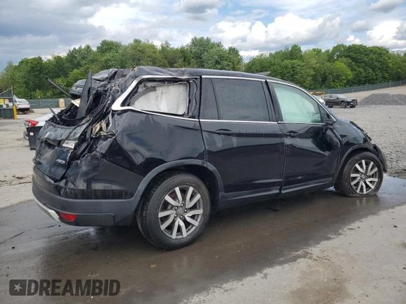 2019 Honda Pilot EX-L with VIN 5FNYF6H57KB062648, listed as a Copart auction lot 57566015 with Not provided miles and Salvage title. Bid and sale history available at DreamBid. Image 3.