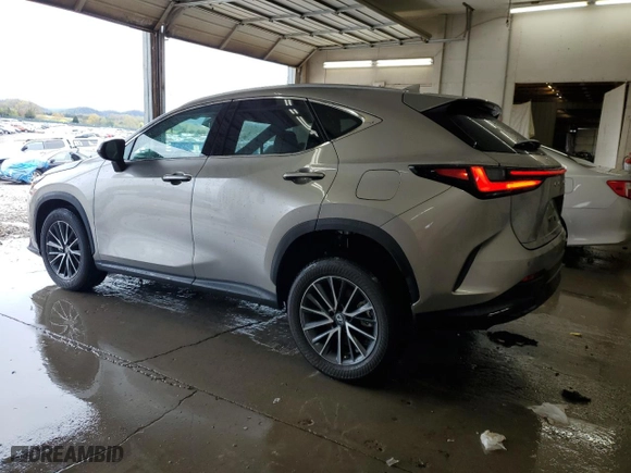 2022 Lexus NX with VIN 2T2GGCEZ8NC008617, listed as a Copart auction lot 51159575 with 19,485 mi miles and Salvage Title. Bid and sale history available at carsss.com. Image 2.