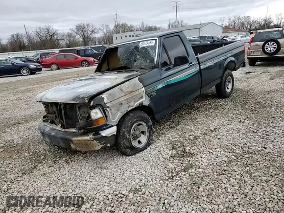 1995 Ford F-150 with VIN 1FTEF15Y4SLA23999, listed as a Copart auction lot 50079355 with 0 mi miles and Non Repairable. Bid and sale history available at carsss.com. Image 11.