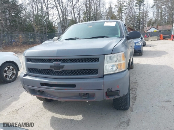 2010 Chevrolet Silverado 1500 LT with VIN 1GCSKSE34AZ149056, listed as a IAAI auction lot 41940819 with 254,707 mi miles. Bid and sale history available at carsss.com. Image 12.