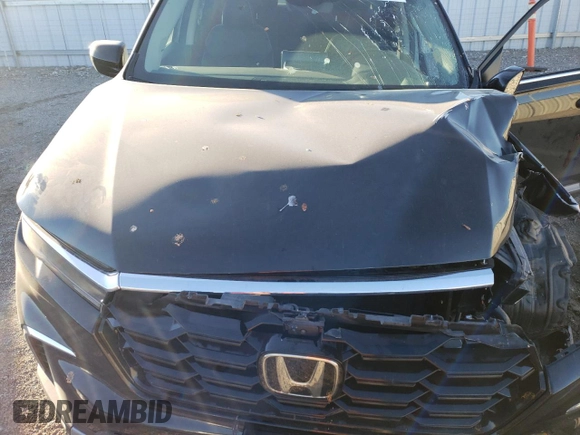 2025 Honda Pilot Elite with VIN 5FNYG1H8XSB029413, listed as a Copart auction lot 83016924 with Not Provided miles and Salvage Title. Bid and sale history available at DreamBid. Image 12.