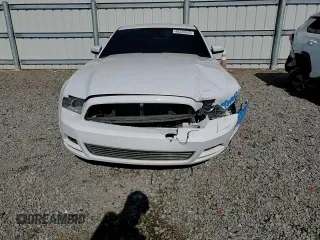 2014 Ford Mustang V6 with VIN 1ZVBP8AM1E5319001, listed as a Copart auction lot 49256535 with 170,655 mi miles and Salvage Title. Bid and sale history available at carsss.com. Image 11.