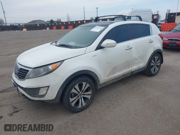 2013 Kia Sportage EX with VIN KNDPCCA24D7531349, listed as a IAAI auction lot 41601181 with 97,004 mi miles and . Bid and sale history available at DreamBid. Image 2.