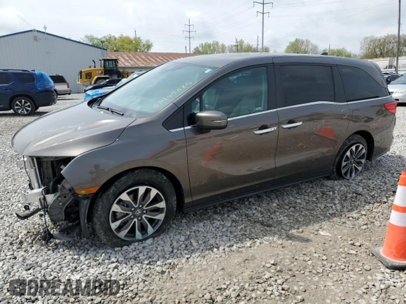 2023 Honda Odyssey EX-L z VIN 5FNRL6H67PB032031, wystawiony jako Copart lot #53949585 z przebiegiem 6 653 mil mil oraz Szkoda całkowita • Salvage title. Historia ofert i sprzedaży dostępna na DreamBid. Obrazek 1.