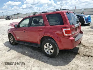 2008 Ford Escape Limited with VIN 1FMCU04178KB99449, listed as a Copart auction lot 56977605 with 113,371 mi miles and Salvage title. Bid and sale history available at DreamBid. Image 2.