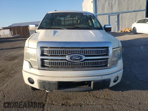 2009 Ford F-150 XL with VIN 1FTPW14V29FA61823, listed as a Copart auction lot 73438054 with 242,529 mi miles and Clean title. Bid and sale history available at DreamBid. Image 5.