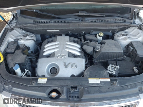 2007 Hyundai Veracruz GLS with VIN KM8NU13C87U024793, listed as a IAAI auction lot 42478654 with 253,284 mi miles and . Bid and sale history available at DreamBid. Image 10.