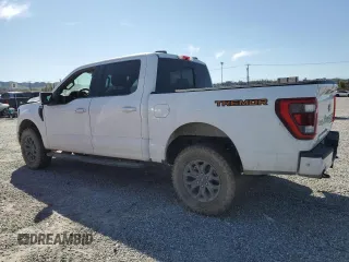2022 Ford F-150 XL with VIN 1FTEW1E87NFA71998, listed as a Copart auction lot 49880045 with 0 mi miles and Salvage Title. Bid and sale history available at carsss.com. Image 2.