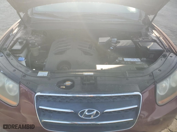 2009 Hyundai Santa Fe SE with VIN 5NMSH13E29H306371, listed as a Copart auction lot 53729715 with 247,619 mi miles and Clean Title. Bid and sale history available at carsss.com. Image 12.