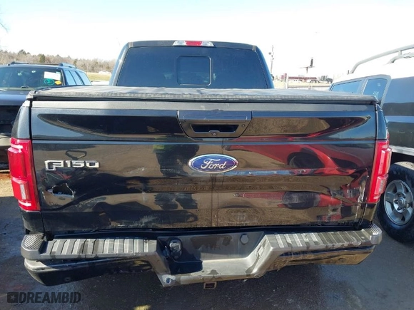2015 Ford F-150 XLT w/HD Payload Pkg with VIN 1FTFW1EG4FFC97087, listed as a IAAI auction lot 41282930 with 121,506 mi miles. Bid and sale history available at carsss.com. Image 16.