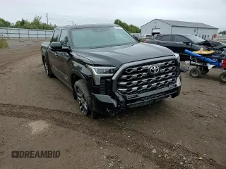 2022 Toyota Tundra Platinum with VIN 5TFNA5DB9NX028910, listed as a Copart auction lot 73638914 with 25,404 mi miles and Salvage title. Bid and sale history available at DreamBid. Image 11.