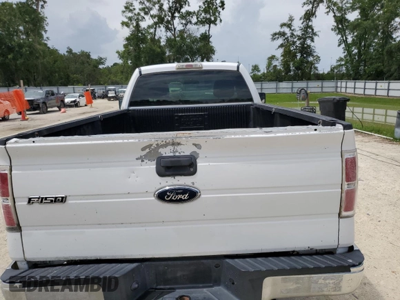2009 Ford F-150 XL with VIN 1FTRF12W89KB56933, listed as a Copart auction lot 61101415 with 189,462 mi miles and Salvage title. Bid and sale history available at DreamBid. Image 10.