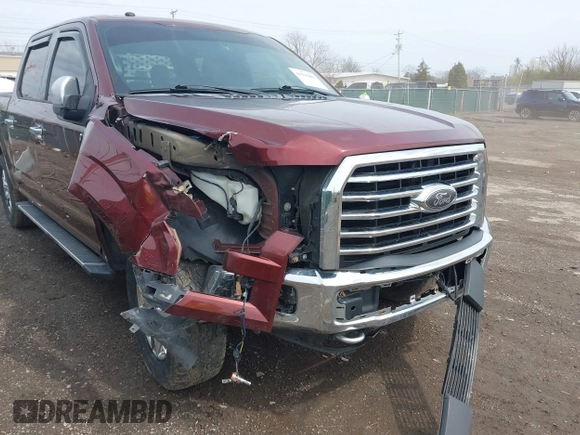 2016 Ford F-150 XLT with VIN 1FTEW1EF2GFD23058, listed as a IAAI auction lot 41930401 with 133,832 mi miles and . Bid and sale history available at carsss.com. Image 6.