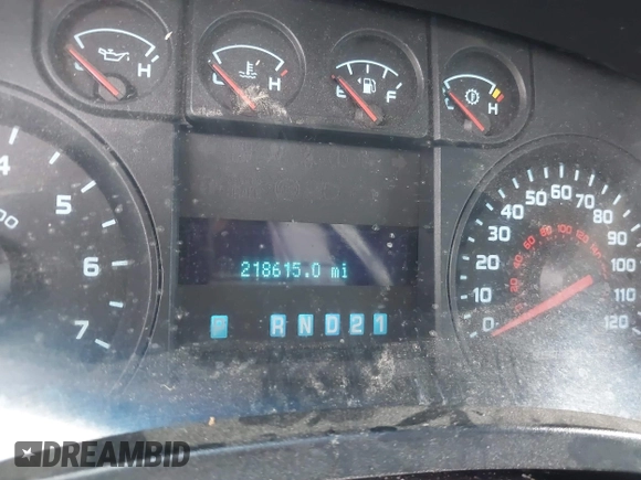 2010 Ford F-150 XL with VIN 1FTEW1CW2AFD86980, listed as a IAAI auction lot 42142860 with 218,615 mi miles. Bid and sale history available at carsss.com. Image 15.