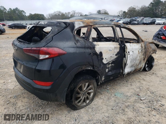 2017 Hyundai Tucson SE with VIN KM8J23A44HU455869, listed as a Copart auction lot 48906865 with Not Provided miles and Non Repairable. Bid and sale history available at DreamBid. Image 3.