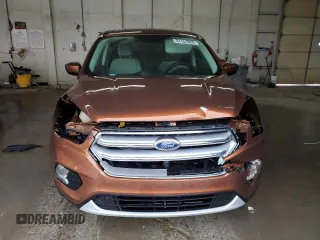2017 Ford Escape SE with VIN 1FMCU0GD7HUE53039, listed as a Copart auction lot 51157025 with 89,216 mi miles and Salvage Title. Bid and sale history available at DreamBid. Image 5.