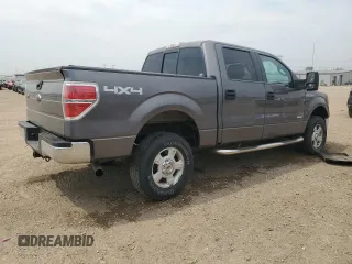 2013 Ford F-150 XL with VIN 1FTFW1ET1DKF57964, listed as a Copart auction lot 58801885 with 176,584 mi miles and Salvage title. Bid and sale history available at DreamBid. Image 3.