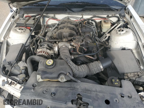 2008 Ford Mustang Deluxe с VIN 1ZVHT84NX85165449, выставлен на аукционе Copart как лот 54366435 с пробегом 163 859 миль миль и Списание • Salvage title. История ставок и продаж доступна на DreamBid. Изображение 11.