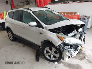 2014 Ford Escape SE с VIN 1FMCU9GX6EUA73121, выставлен на аукционе IAAI как лот 42506731 с пробегом 142 999 миль миль и . История ставок и продаж доступна на DreamBid. Изображение 1.