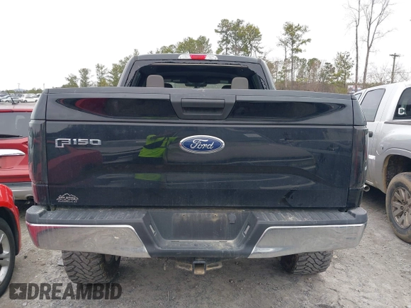 2017 Ford F-150 XL with VIN 1FTEW1EF8HFC36816, listed as a IAAI auction lot 41481007 with 100,828 mi miles. Bid and sale history available at carsss.com. Image 16.
