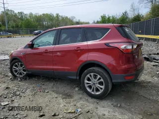 2017 Ford Escape SE with VIN 1FMCU0GD4HUA10282, listed as a Copart auction lot 53872825 with 102,832 mi miles and Salvage Title. Bid and sale history available at DreamBid. Image 2.